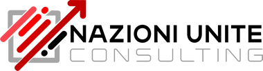 Nazioni Unite Consulting Logo